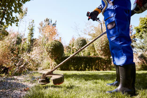 Guía para mantener tu jardín saludable